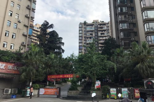 廣廈城巢上 二期 優(yōu)點 不足,廣廈城巢上 二期 怎么樣,廣廈城巢上 二期 周邊房產中介經紀人評價