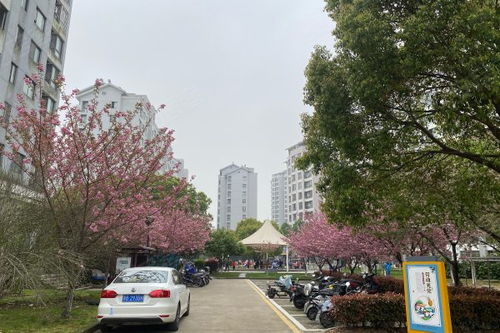 聯(lián)心嘉園 北區(qū) 優(yōu)點(diǎn) 不足,聯(lián)心嘉園 北區(qū) 怎么樣,聯(lián)心嘉園 北區(qū) 周邊房產(chǎn)中介經(jīng)紀(jì)人評(píng)價(jià)