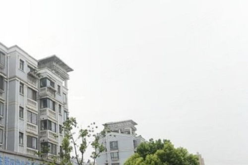 芳華路713弄小區(qū)綜合評價 優(yōu)點、不足與周邊中介服務(wù)