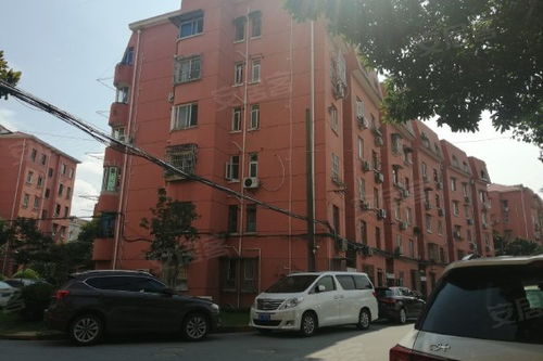 新華小區(qū)老閔行 優(yōu)缺點(diǎn)與周邊中介服務(wù)解析